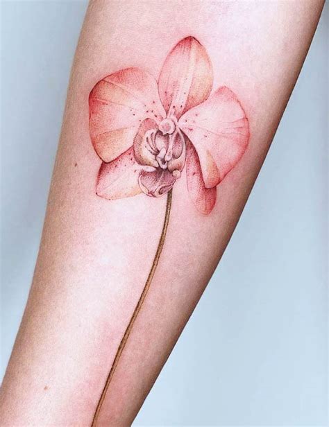 tatuaggio belli|98 bellissimi tatuaggi con fiori e significato